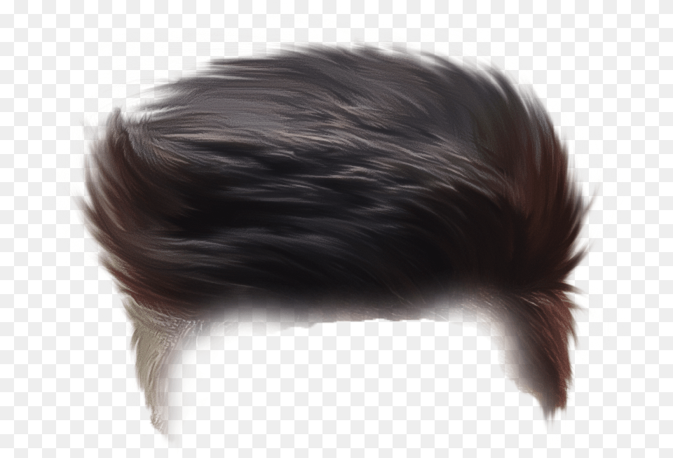 All Latest Cb Hair Hd 2020 Hair, Person Png