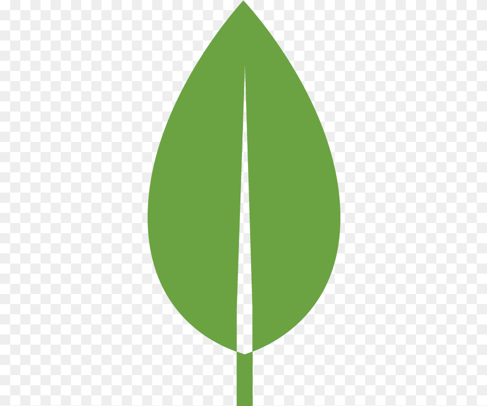 All Leaf Flat Design, Plant, Weapon, Astronomy, Moon Png