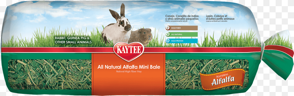 All Natural Alfalfa Hay Mini Bale 24 Oz Kaytee Alfalfa Hay, Plant, Herbal, Herbs, Grass Free Transparent Png