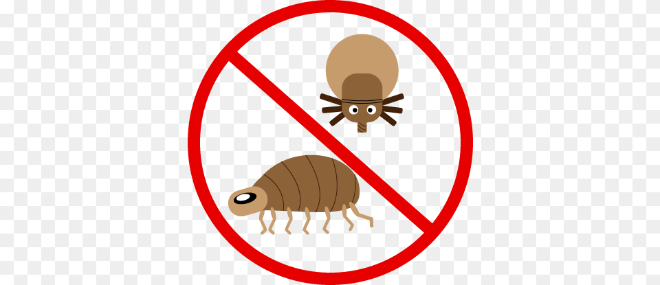 All Natural Ways To Stop Fleas On Dogs, Animal, Flea, Insect, Invertebrate Png Image