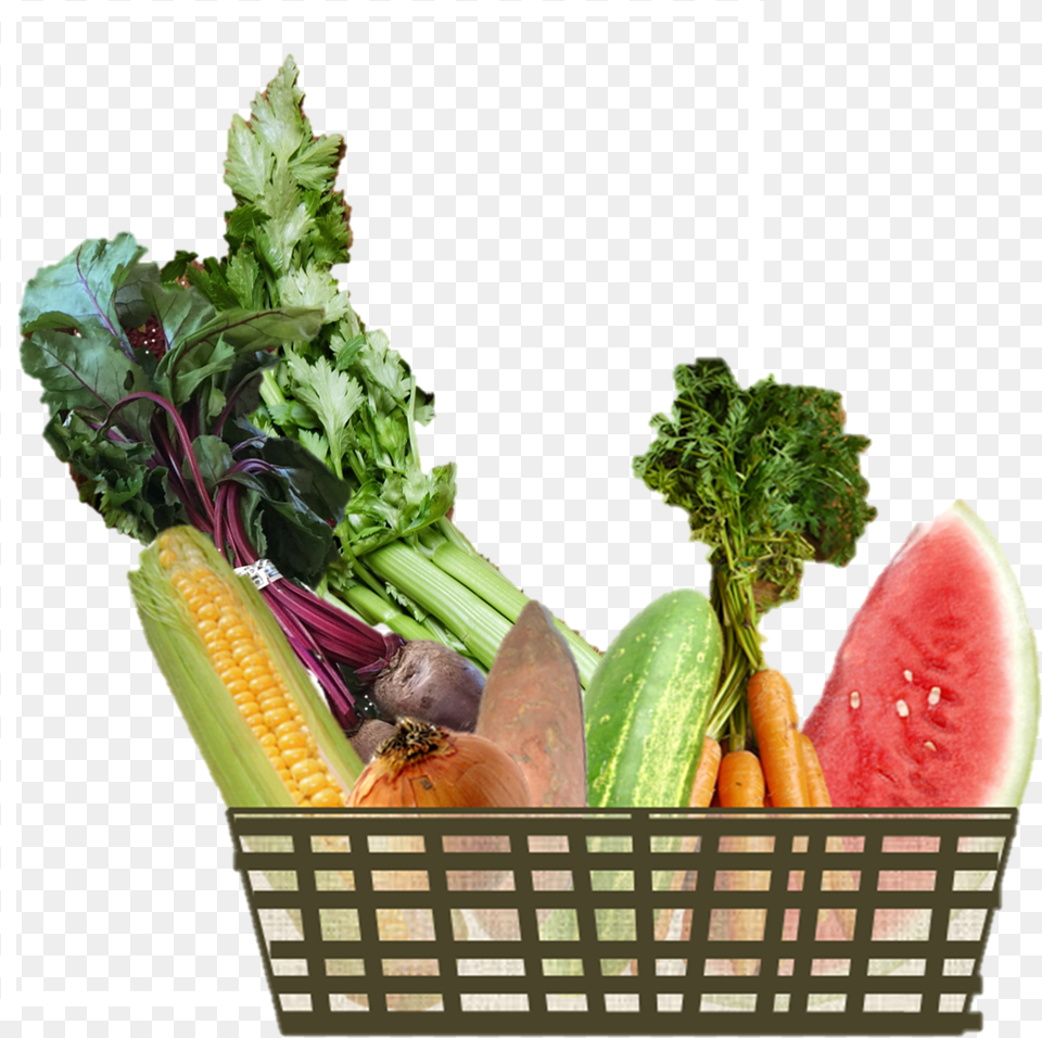 All Our Eggs Are In Too Few Baskets Basket Of Crops, Plant, Food, Produce, Fruit Free Png Download