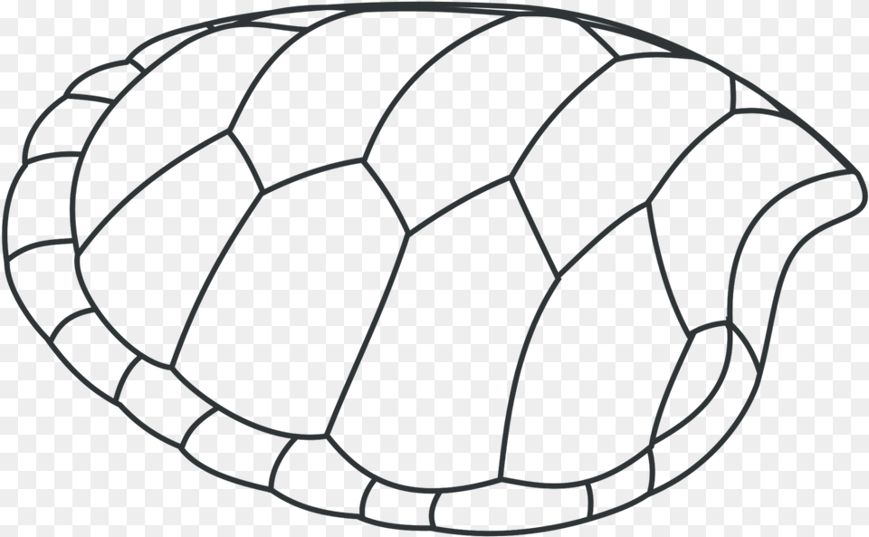 All Photo Clipart Turtle Clip Art, Ball, Football, Soccer, Soccer Ball Free Png