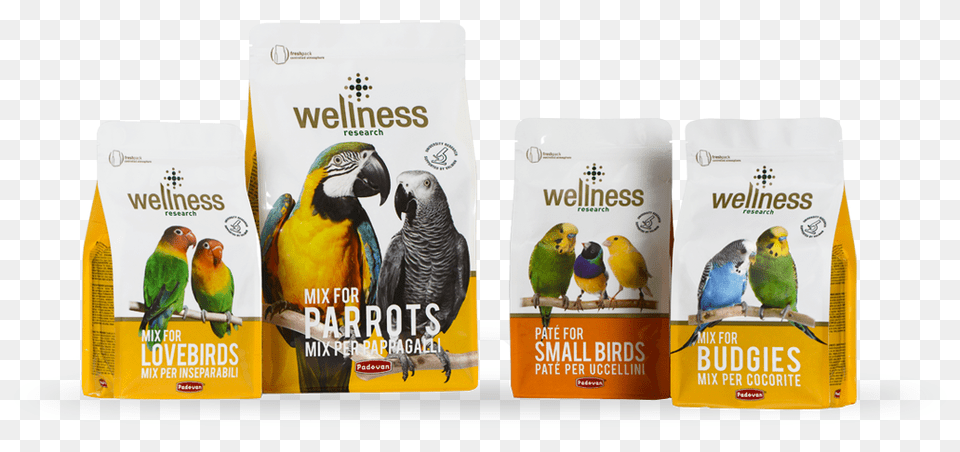 All Products Parrot, Animal, Bird Free Png