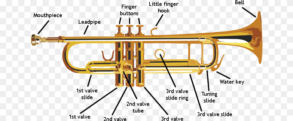All The Parts Of A Trumpet, Brass Section, Horn, Musical Instrument Free Png