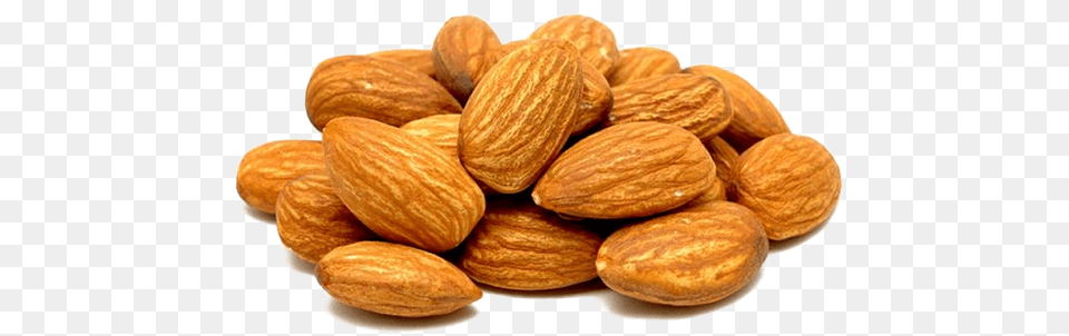 All Types Of Nut, Almond, Food, Grain, Produce Png