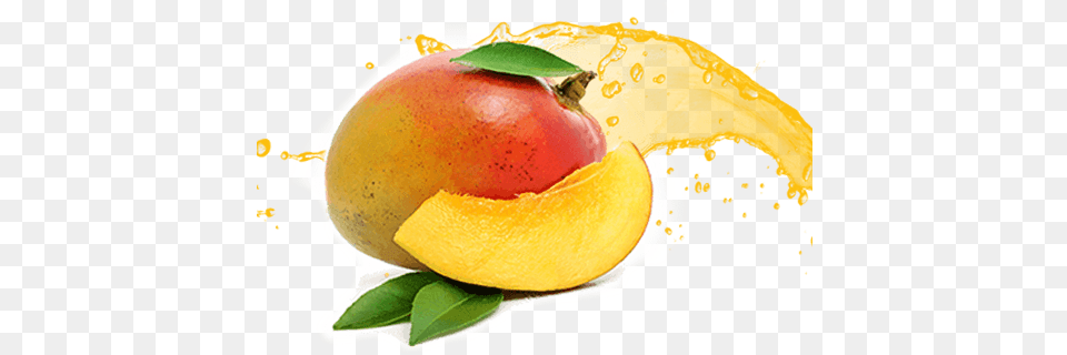 All Varieties Of Mangoes Like Totapuri Alphonso Sindura Mango, Food, Fruit, Plant, Produce Free Png Download