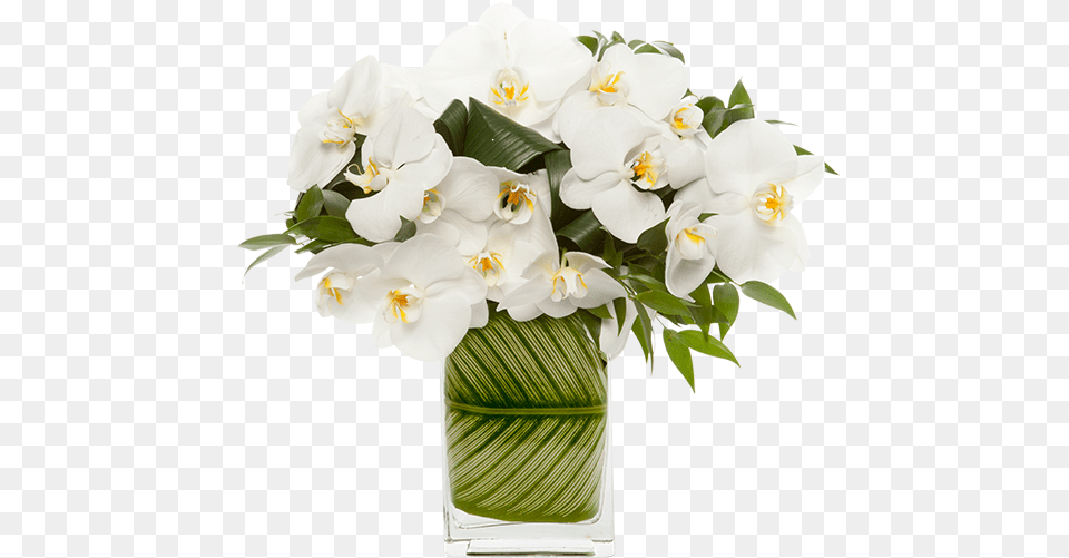 All White Modern Floral Arrangement, Flower, Flower Arrangement, Flower Bouquet, Plant Free Png Download