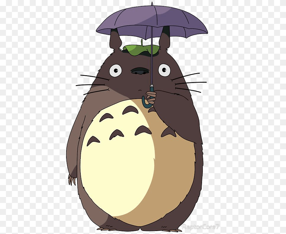 All Worlds Alliance Wiki Totoro Umbrella, Baby, Person, Face, Head Png