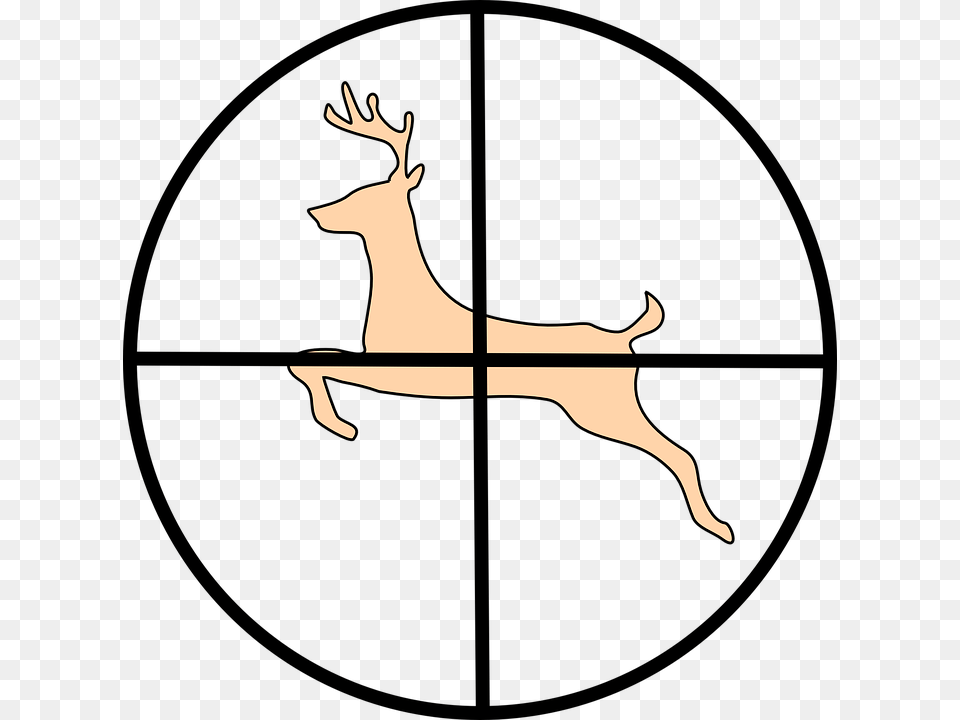 All You Need To Know About Deer Hunting, Animal, Mammal, Wildlife, Antelope Png