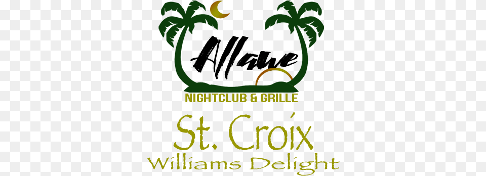 Allawe Nightclub And Grille Graphic Design, Vegetation, Tree, Rainforest, Plant Free Transparent Png