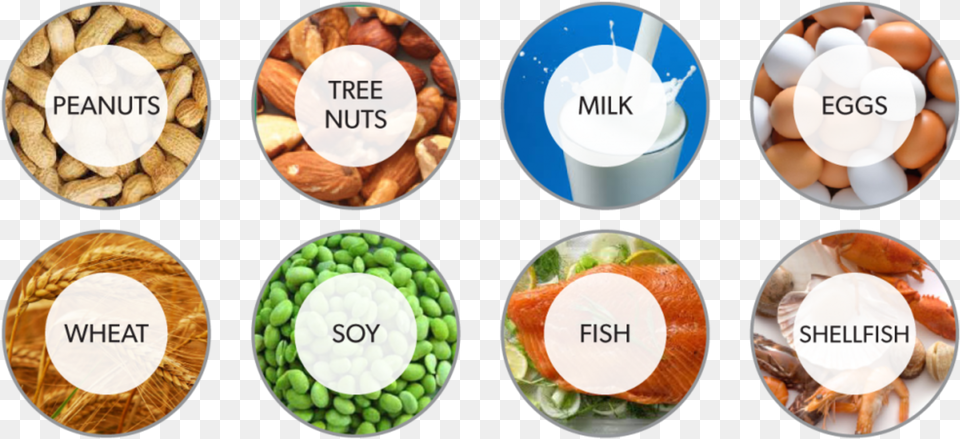 Allergic Food, Lunch, Meal, Produce, Pea Free Png Download