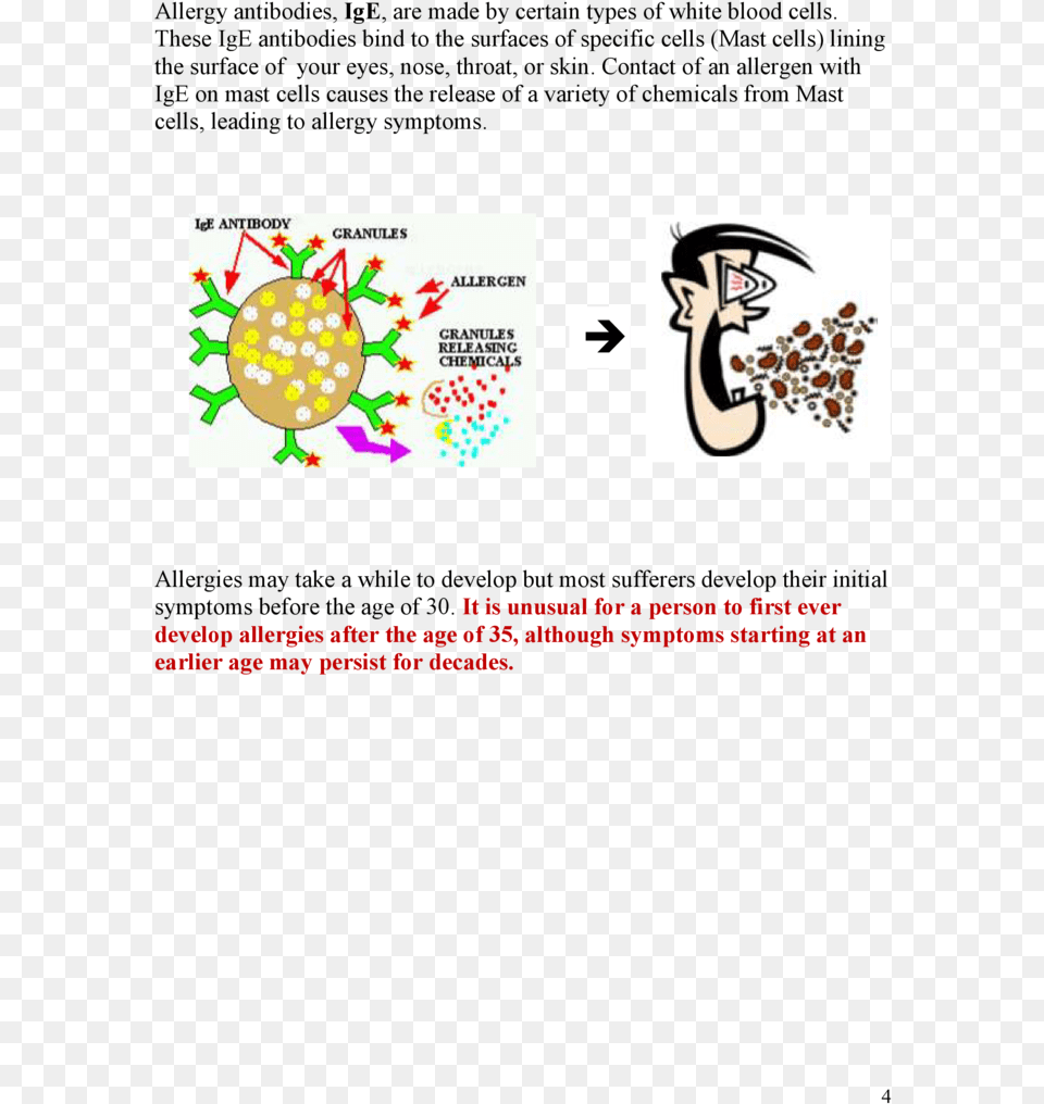 Allergy Antibodies Ige Are Made By Certain Types, Text, Paper, Person Free Png