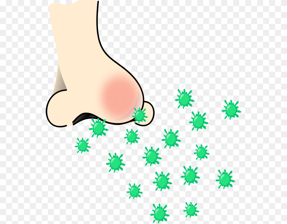 Allergy Sneeze Nose Rhinorrhea Pollen, Outdoors Png Image