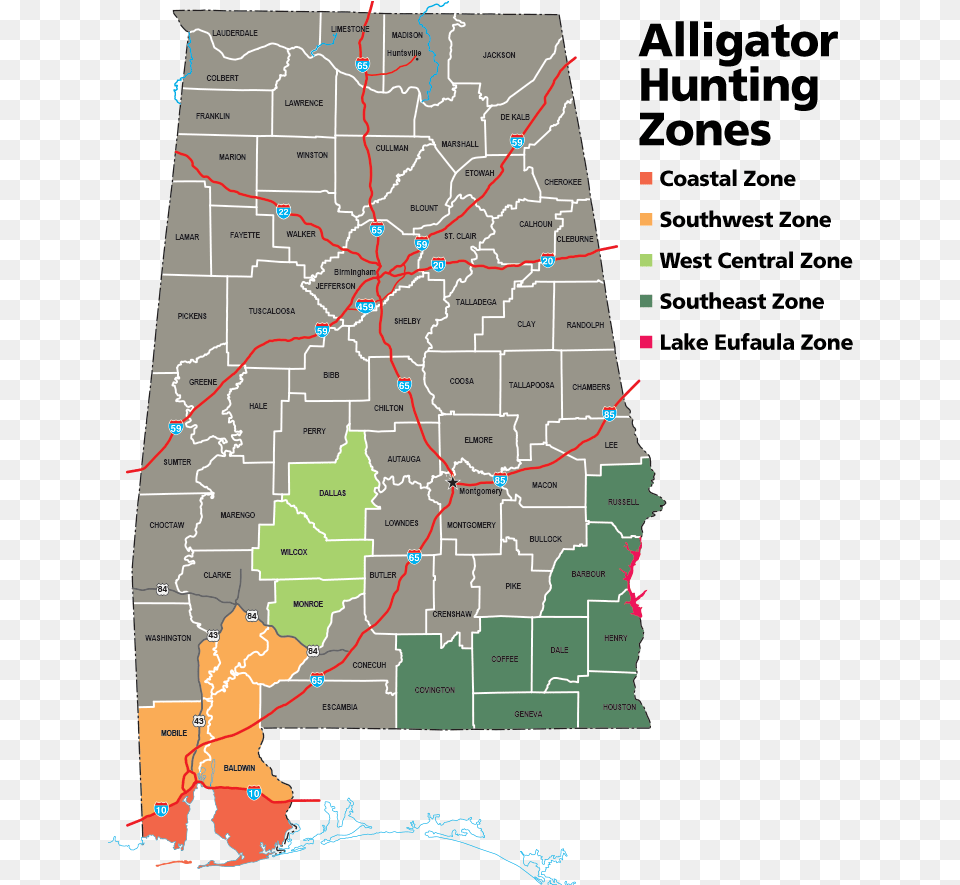 Alligator, Chart, Neighborhood, Plot, Map Free Png