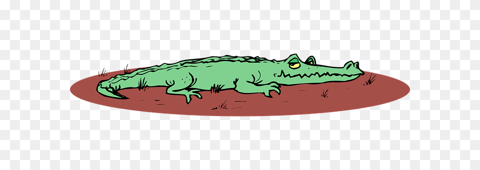 Alligator Animal, Crocodile, Reptile Free Png Download