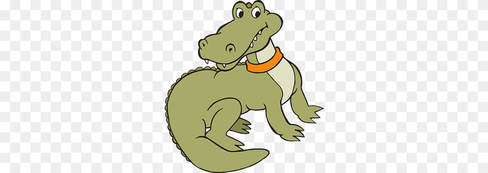 Alligator Animal, Baby, Person Free Transparent Png