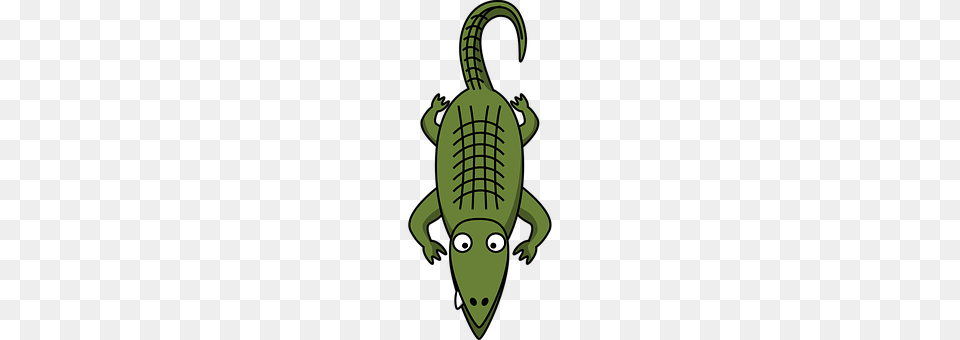 Alligator Animal, Reptile, Crocodile Free Transparent Png