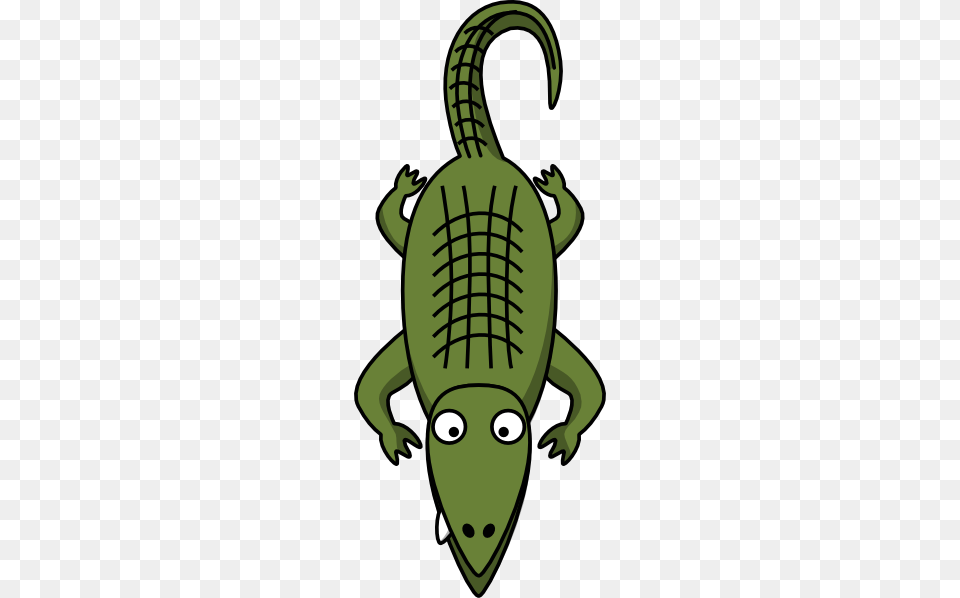 Alligator Clip Art, Animal, Crocodile, Reptile, Baby Free Png