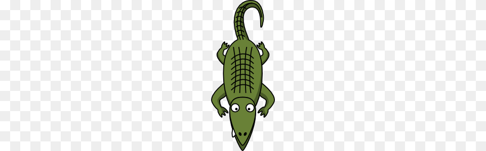 Alligator Clip Art, Animal, Reptile, Crocodile, Ammunition Png