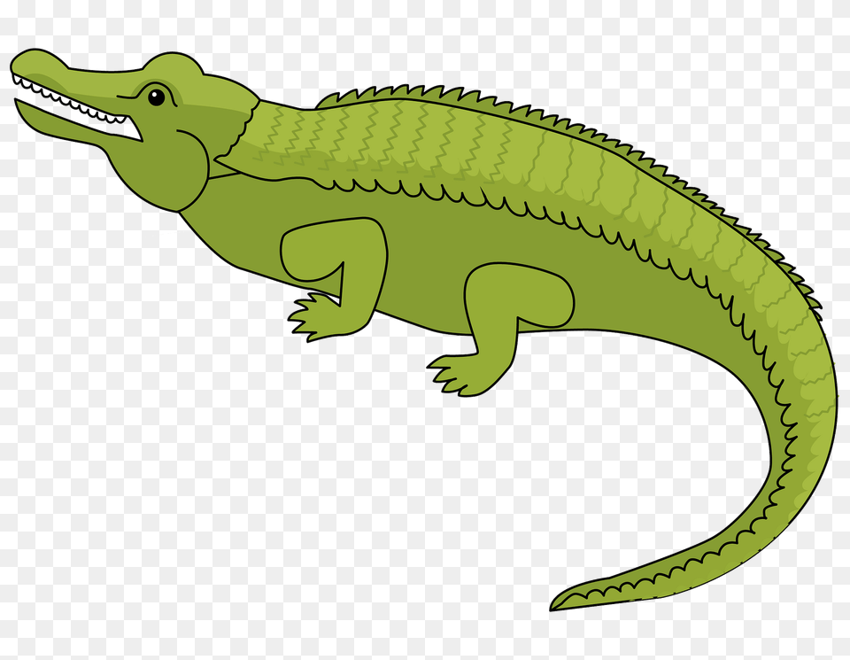 Alligator Clipart, Animal, Lizard, Reptile, Fish Png