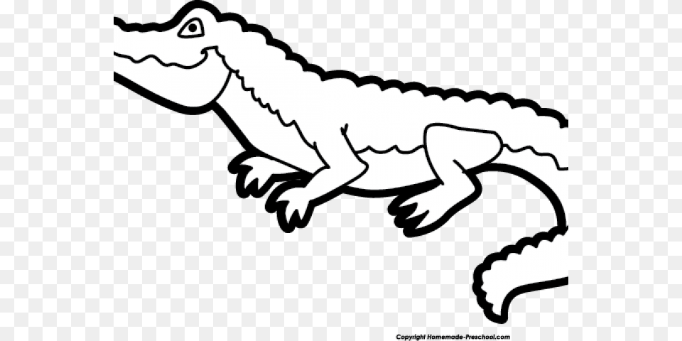 Alligator Clipart Black And White, Animal, Baby, Crocodile, Person Png