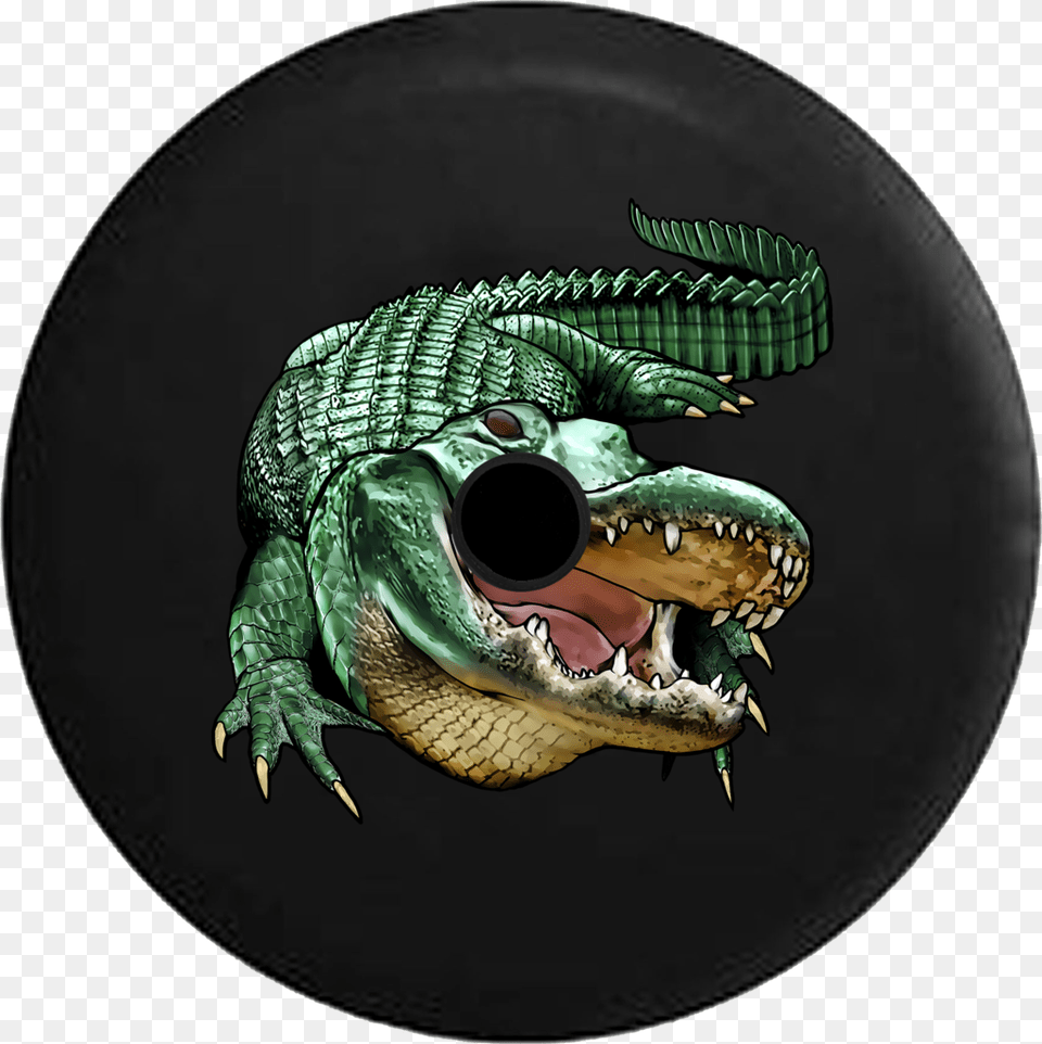 Alligator Head, Animal, Crocodile, Reptile, Dinosaur Png Image