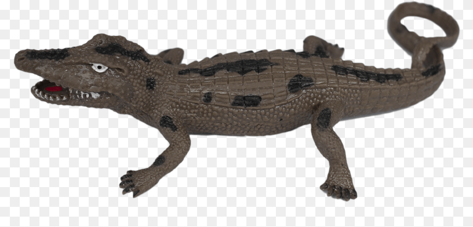 Alligator King American Crocodile, Animal, Lizard, Reptile Free Transparent Png