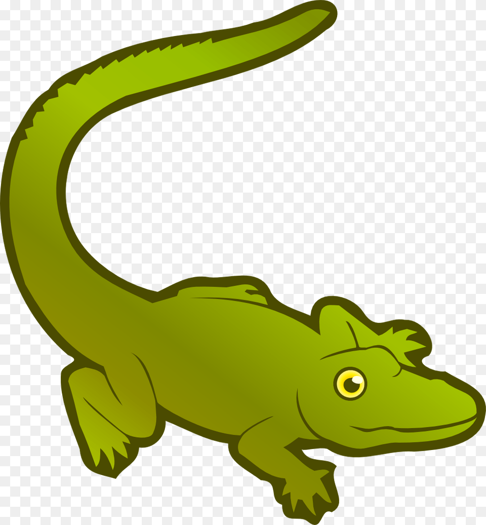 Alligator Pic, Animal, Green Lizard, Lizard, Reptile Png