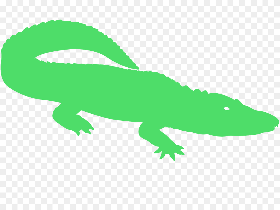 Alligator Silhouette, Animal, Reptile, Crocodile, Fish Png Image