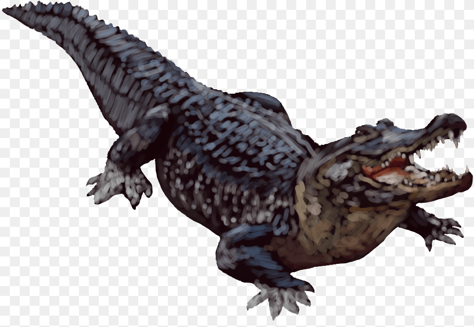Alligator Background, Animal, Crocodile, Reptile, Bird Free Transparent Png
