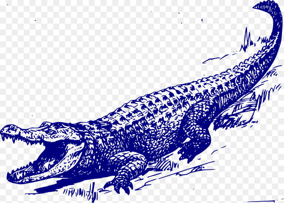 Alligator Vector, Animal, Crocodile, Reptile, Dinosaur Free Png