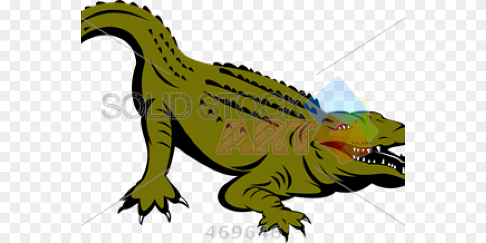 Alligators, Baby, Person, Animal, Crocodile Free Transparent Png