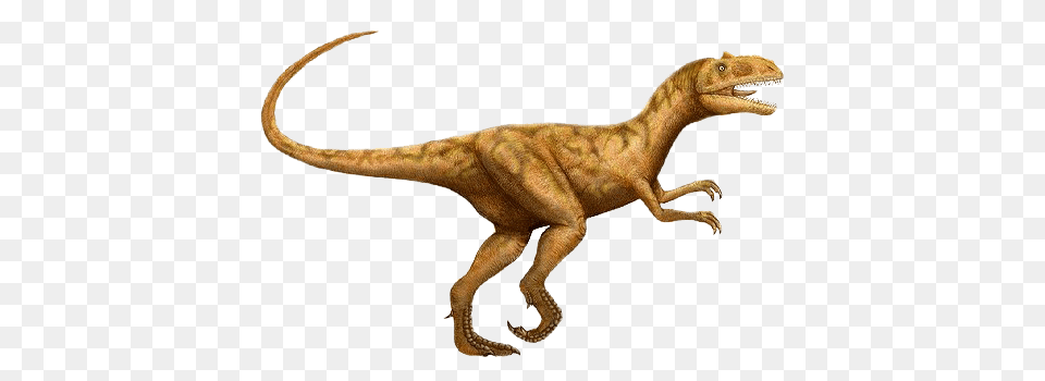 Allosaurus Dinosaur, Animal, Reptile, T-rex Free Transparent Png