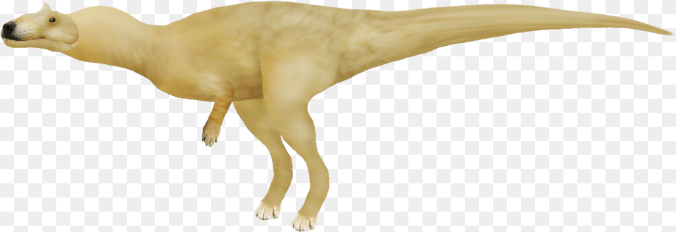 Allosaurus Doge More In Comments Rdogelore Animal Figure, Dinosaur, Reptile, T-rex, Bird Free Png