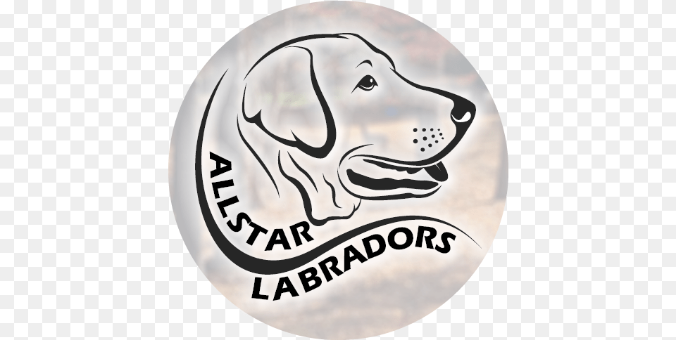 Allstar Labradors Logo Kennel, Sticker, Mammal, Animal, Canine Free Png