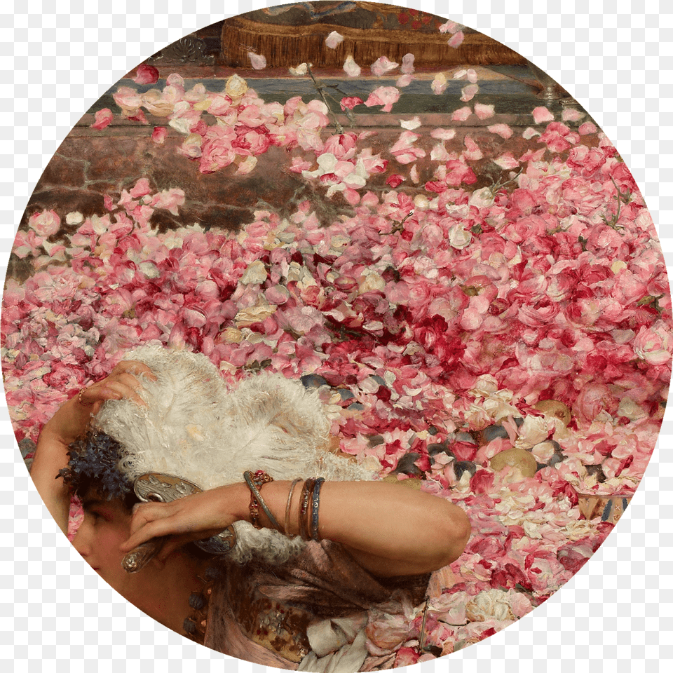 Alma Tadema, Petal, Photography, Plant, Flower Free Transparent Png
