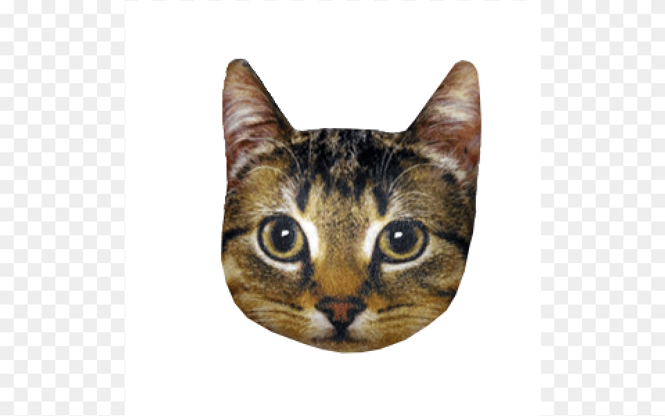 Almofada Gato Digitally Printed Cotton Cooking Apron Animal Face, Abyssinian, Cat, Mammal, Pet Png