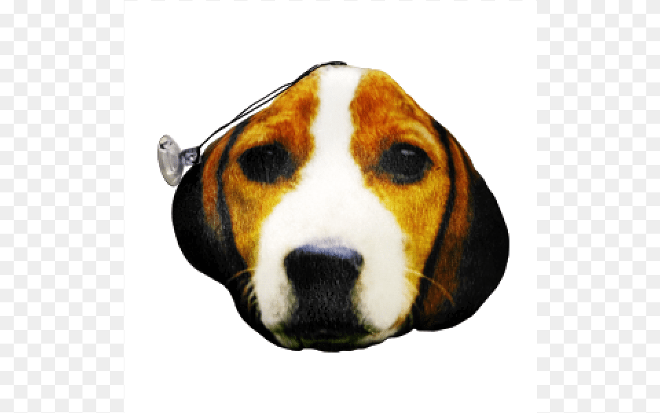 Almofadinha De Cachorro Com Ventosa De Cachorro, Animal, Canine, Dog, Hound Free Transparent Png