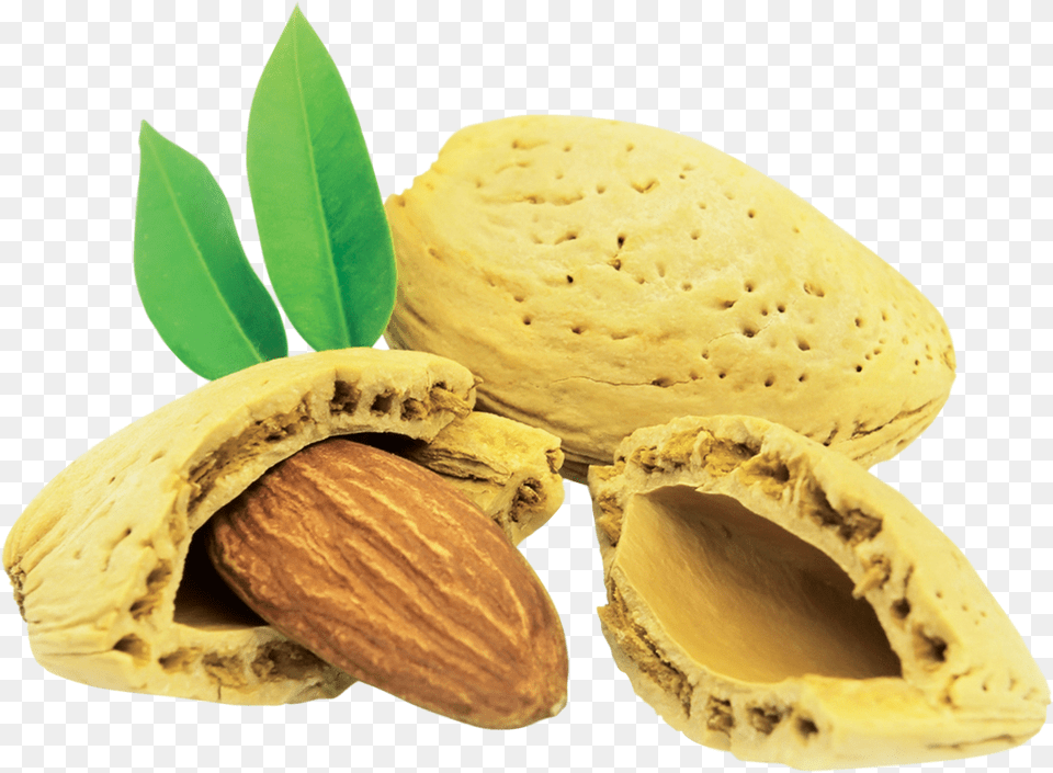 Almond, Food, Grain, Produce, Seed Png Image