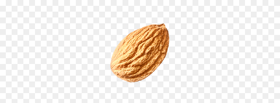 Almond, Produce, Food, Outdoors, Night Free Transparent Png