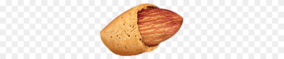 Almond, Food, Grain, Produce, Seed Free Png Download