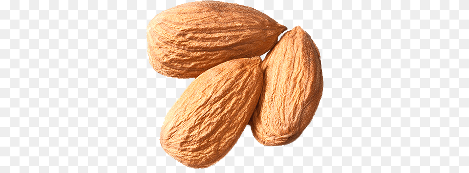 Almond, Food, Produce, Grain, Seed Free Png Download