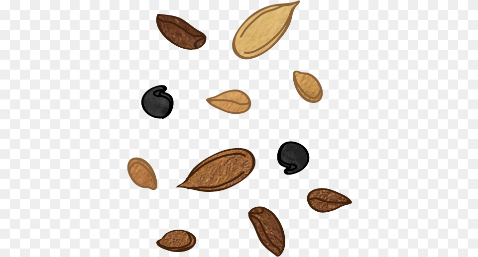 Almond, Food, Produce, Grain, Seed Free Png Download