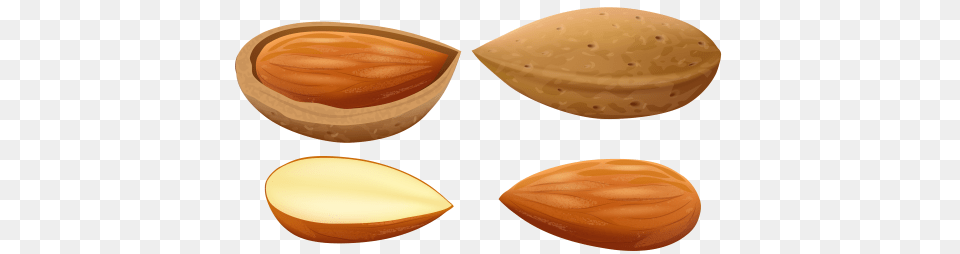 Almond, Food, Produce, Grain, Seed Free Png Download