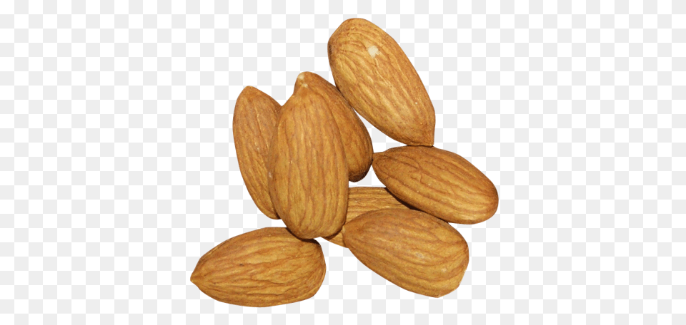 Almond, Food, Grain, Produce, Seed Free Transparent Png