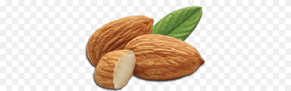 Almond, Food, Grain, Produce, Seed Png