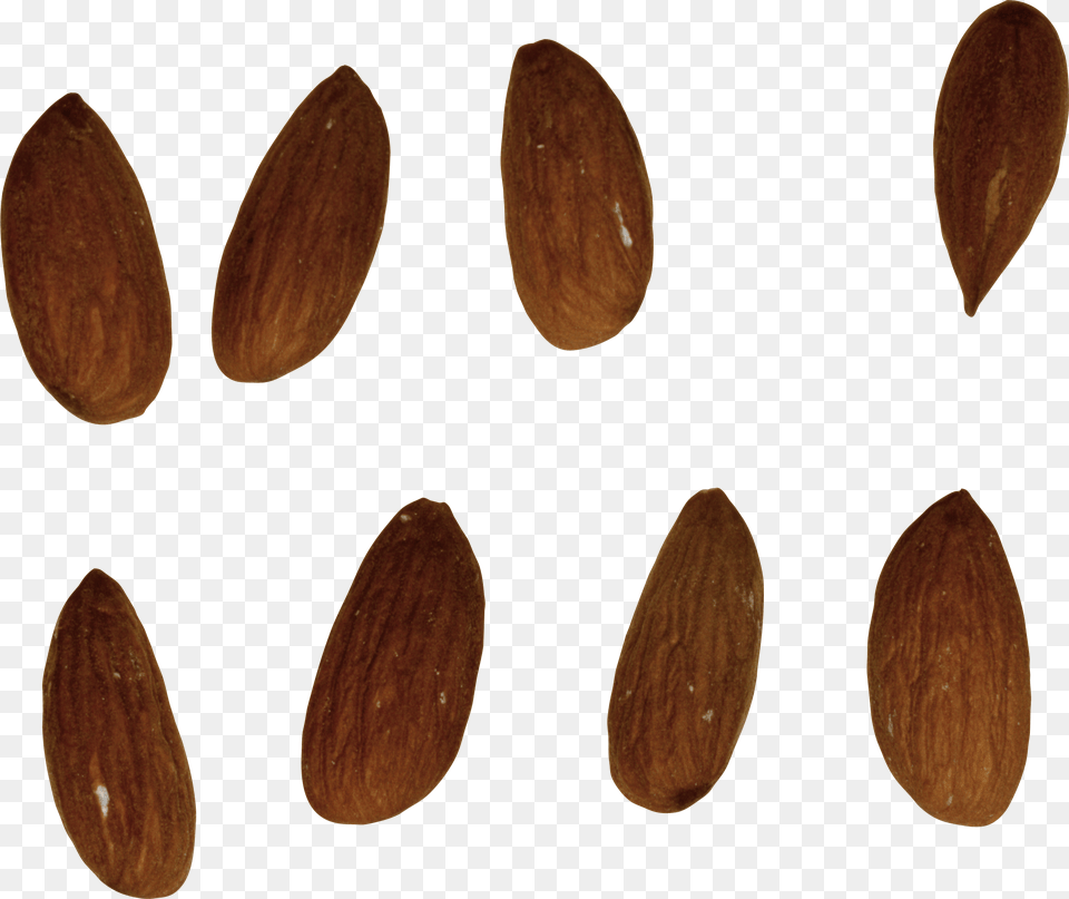 Almond, Food, Grain, Produce, Seed Png Image