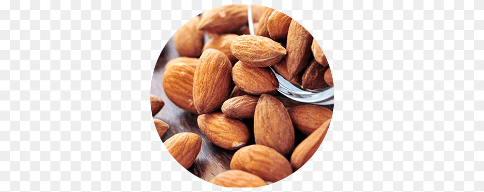 Almond, Food, Grain, Produce, Seed Png Image