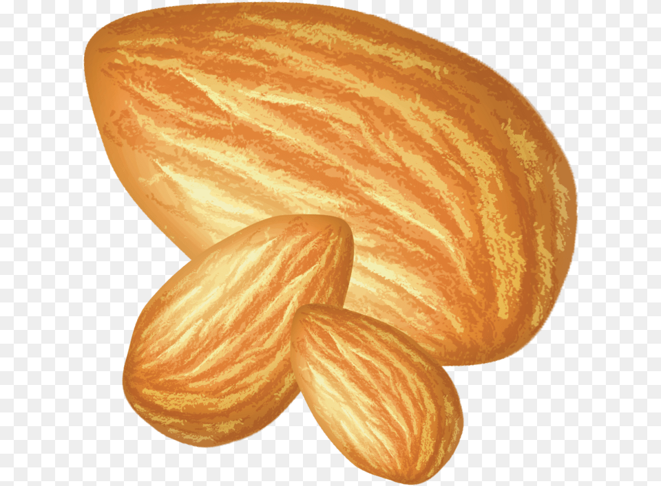 Almond, Food, Grain, Produce, Seed Free Png Download