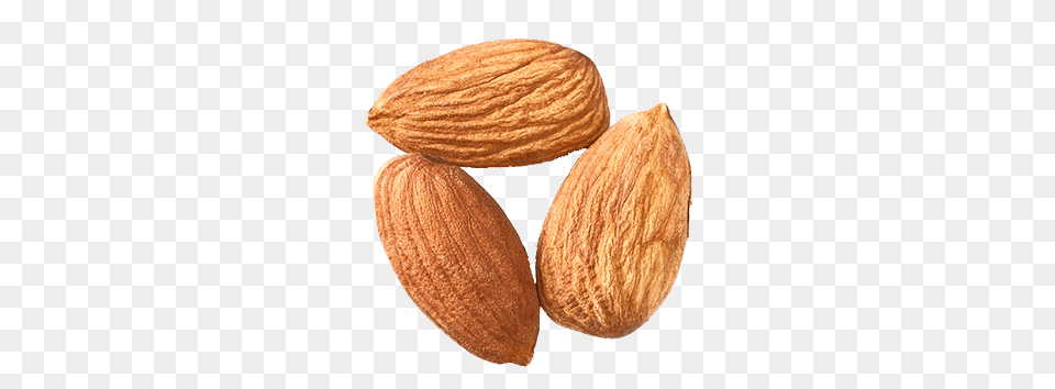 Almond, Food, Produce, Grain, Seed Free Png Download